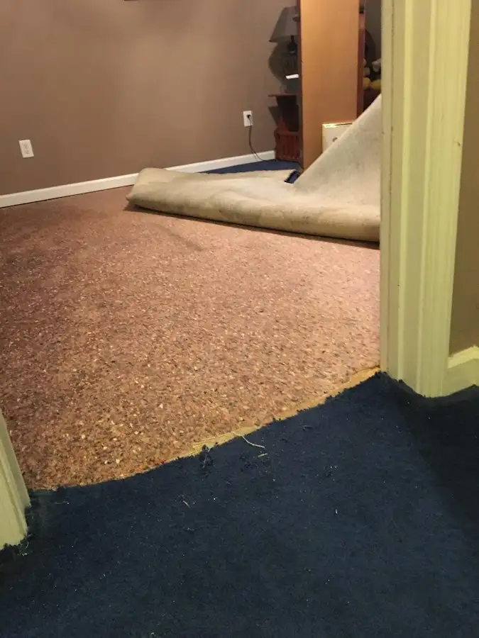 Carpet pad removal revealing water damage during Drying & Dehumidification in Kenton
