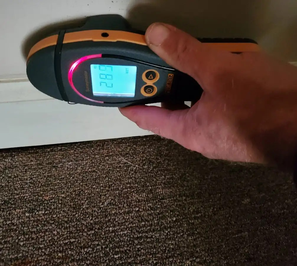 Moisture detection at baseboard during Mold Inspection & Testing in Kenton